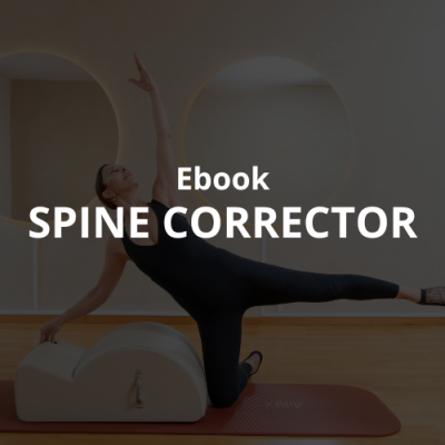 Ebook Spin corrector English version
